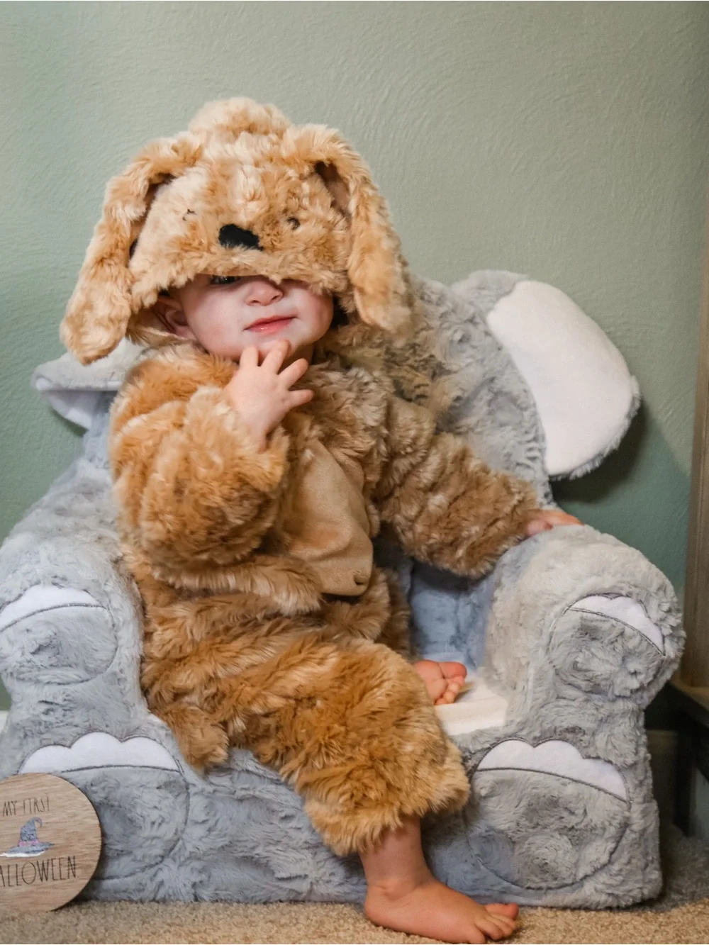 Pottery Barn Kids Fuzzy Puppy Costume in Light Brown and Tan